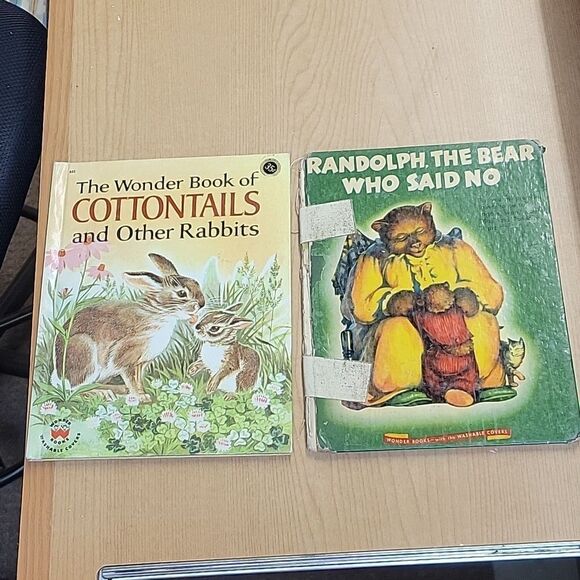 Vintage bundle of 16 Wonder Books - Picture 2 of 12